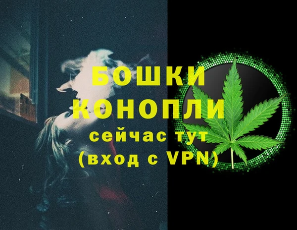 дурь Богданович